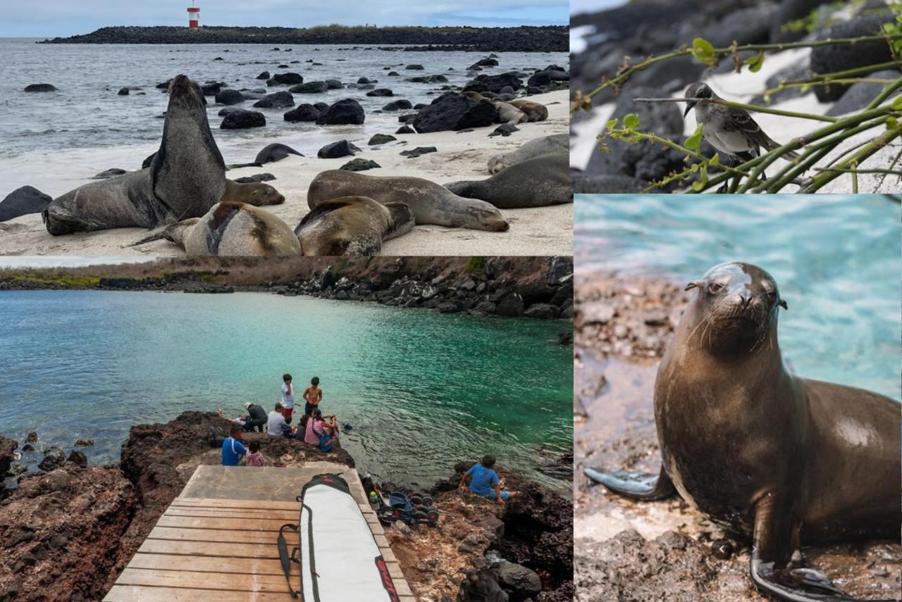 Blue Horizon - Galapagos Home Пуэрто-Бакерисо-Морено Экстерьер фото